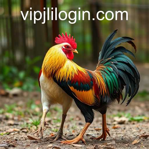 The Rise of Online Sabong: Engaging with VIPJL